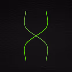 Genesis Blocks #1252