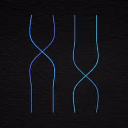 Genesis Blocks #1427