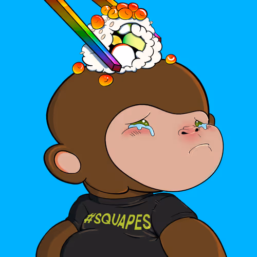 Squishy Apes Nft