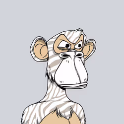 205