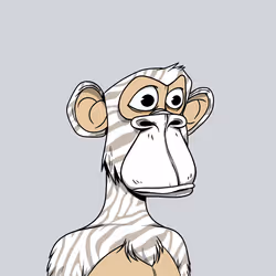 161