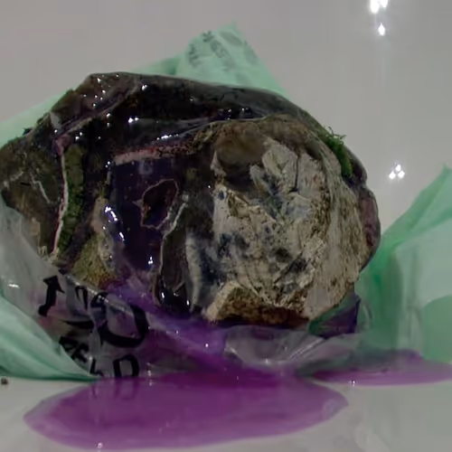 Symptoms by Iain Ball