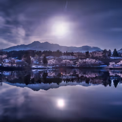 Under the moonlight