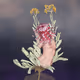 World Of Femininity