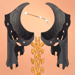 Spinor's Axe