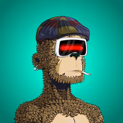 Item Media