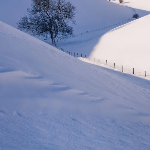 Peaceful Valley