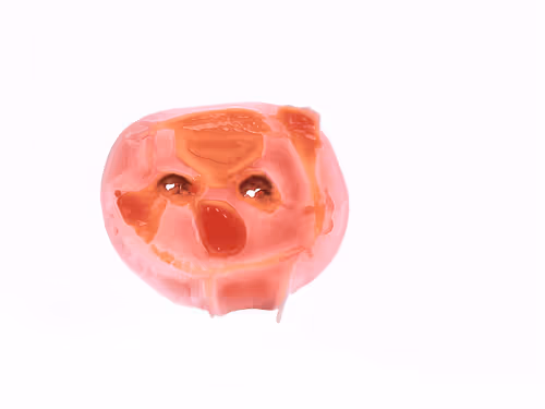 Item #41 Media