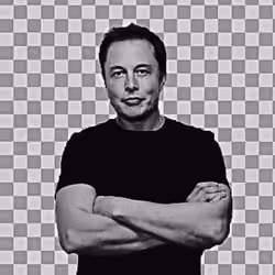 elon musk #811