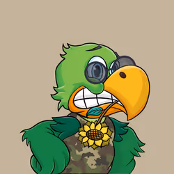 Picky Parrot #52