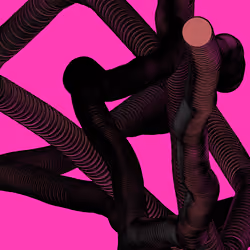 Wormhole #430