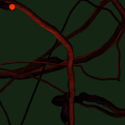 Wormhole #1512