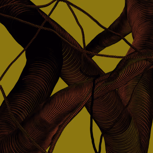 Wormhole #932