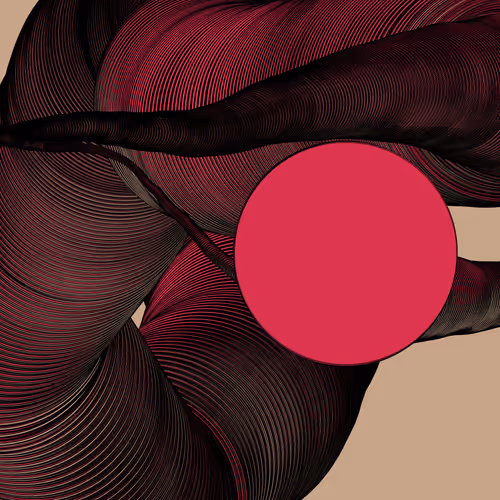 Wormhole #1411
