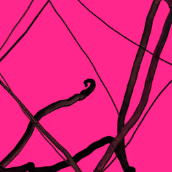 Wormhole #367
