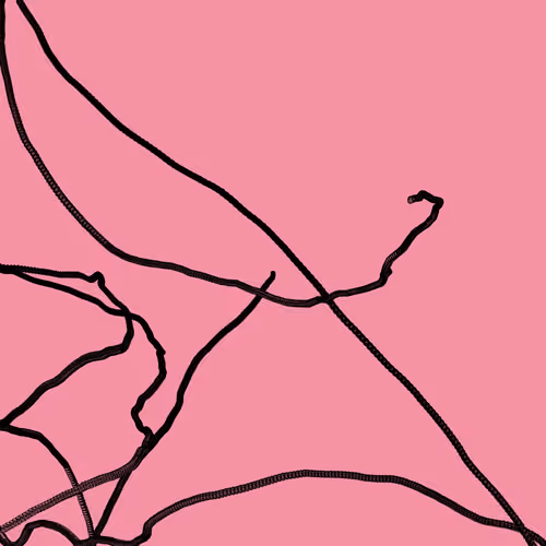 Wormhole #583