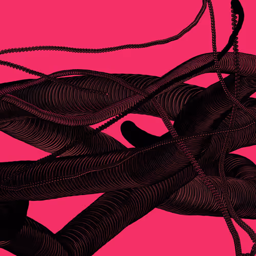 Wormhole #775