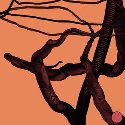Wormhole #928