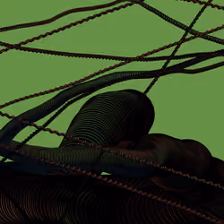 Wormhole #1538
