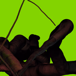 Wormhole #962