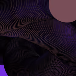 Wormhole #1421