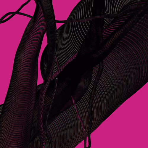 Wormhole #1564
