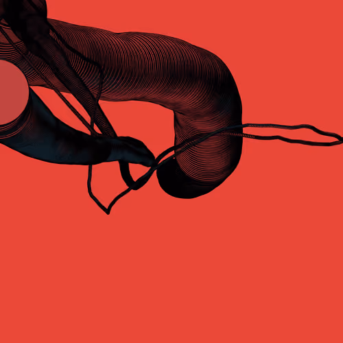 Wormhole #937