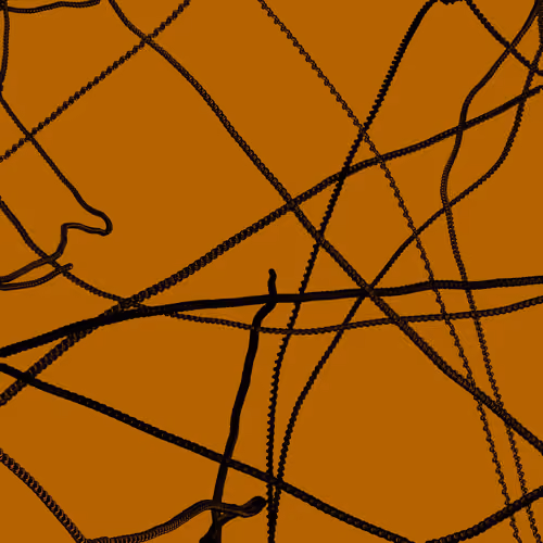 Wormhole #215