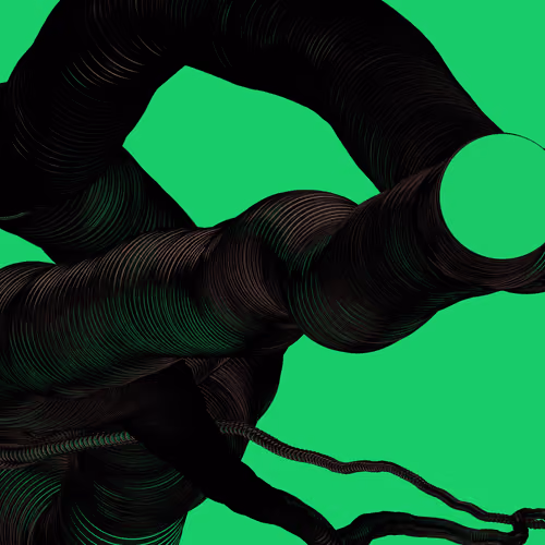 Wormhole #1188