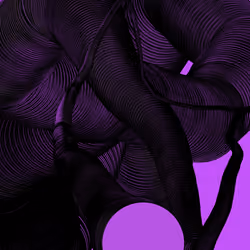 Wormhole #1579