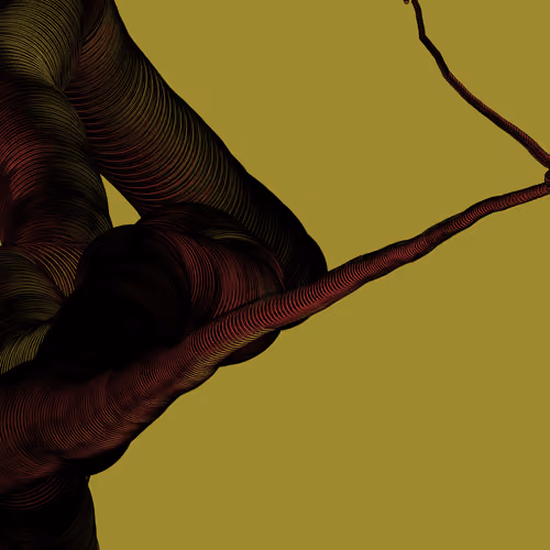 Wormhole #575