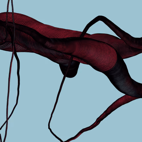 Wormhole #479