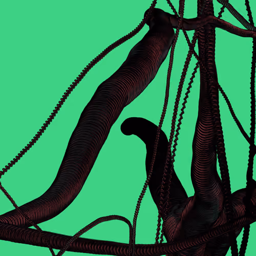Wormhole #534