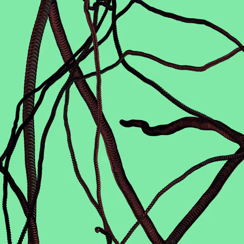 Wormhole #938