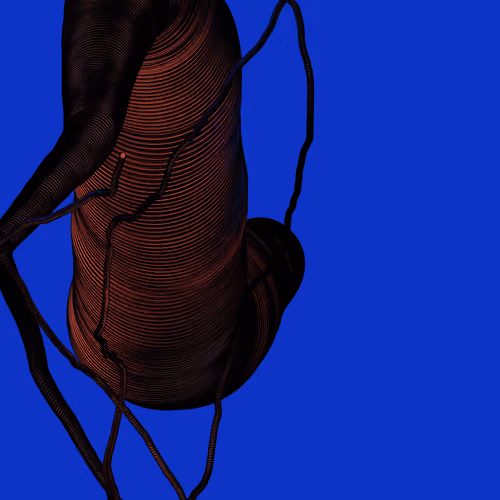 Wormhole #1611