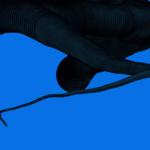 Wormhole #1602