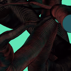Wormhole #1481