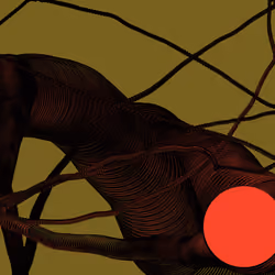 Wormhole #1301
