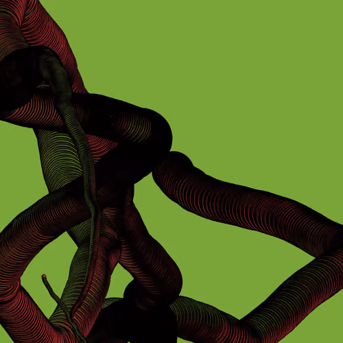 Wormhole #1169