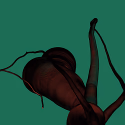 Wormhole #1269
