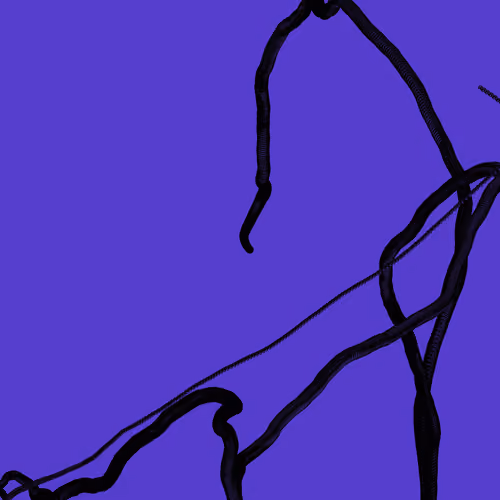 Wormhole #291