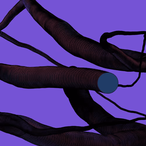 Wormhole #1349