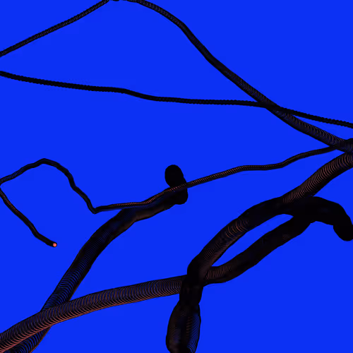 Wormhole #1623