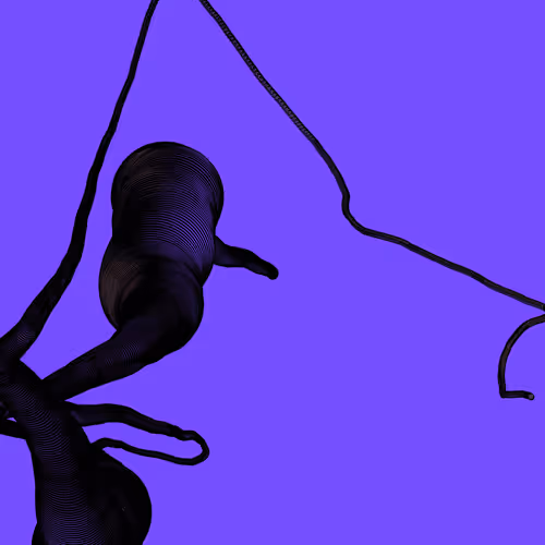 Wormhole #1361