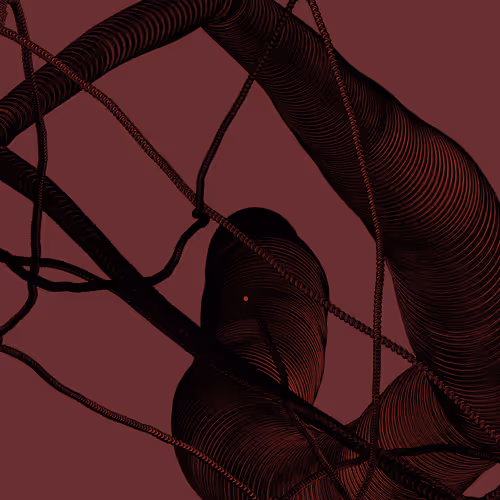 Wormhole #1619