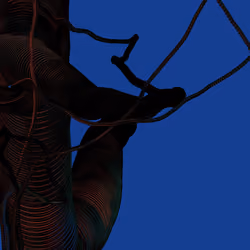 Wormhole #1476