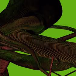 Wormhole #1577