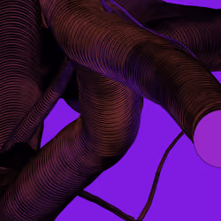 Wormhole #1247