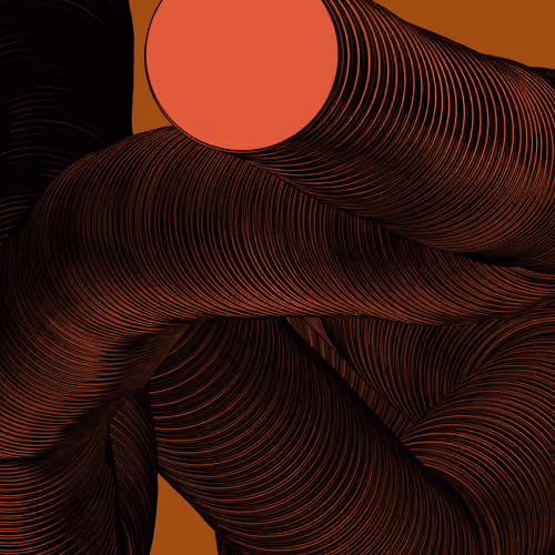 Wormhole #584