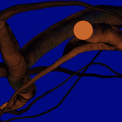 Wormhole #1905